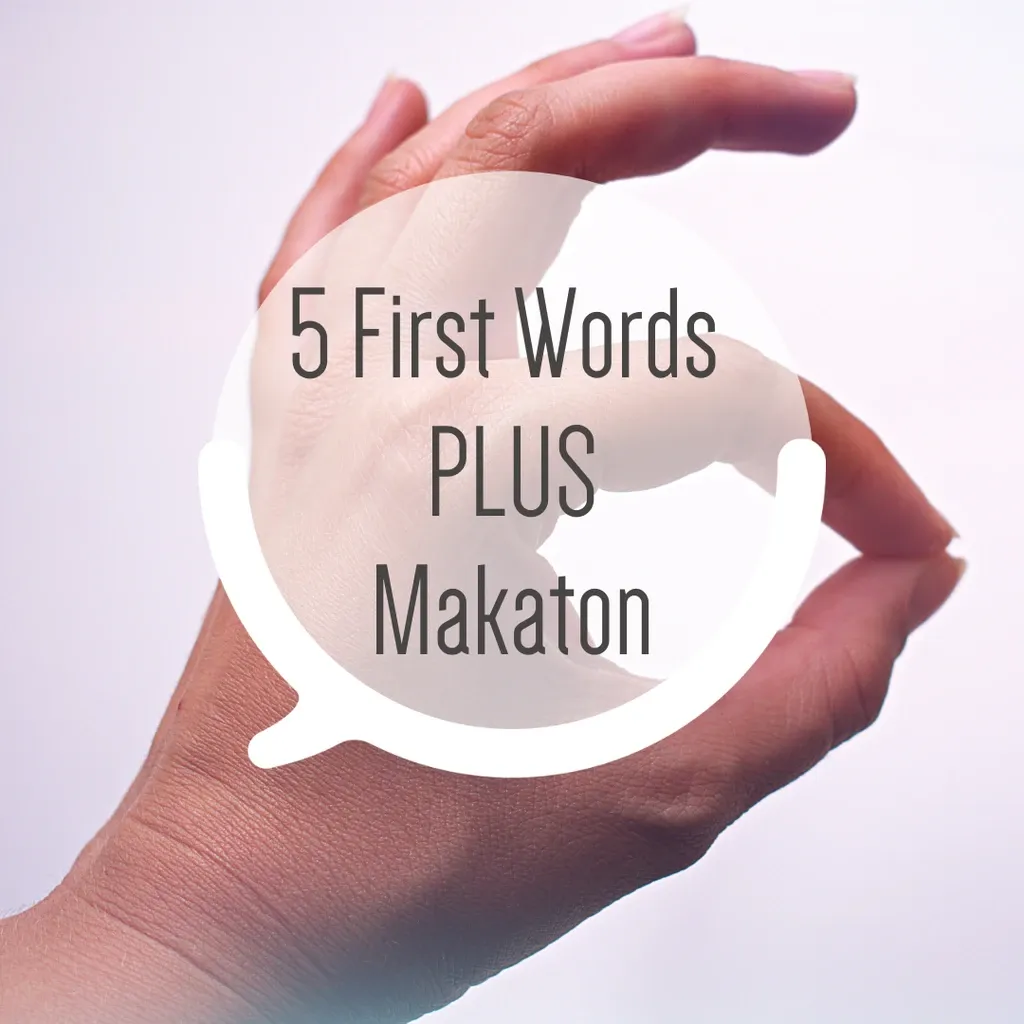 5 First Words (plus Makaton)