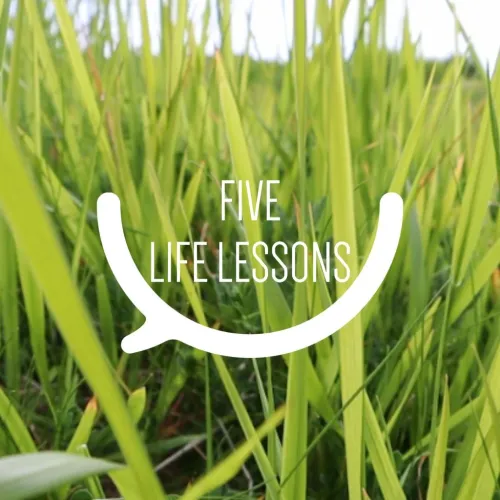 Five Life Lessons
