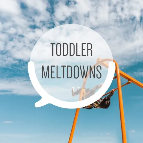 Toddler meltdowns
