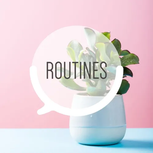 Routines