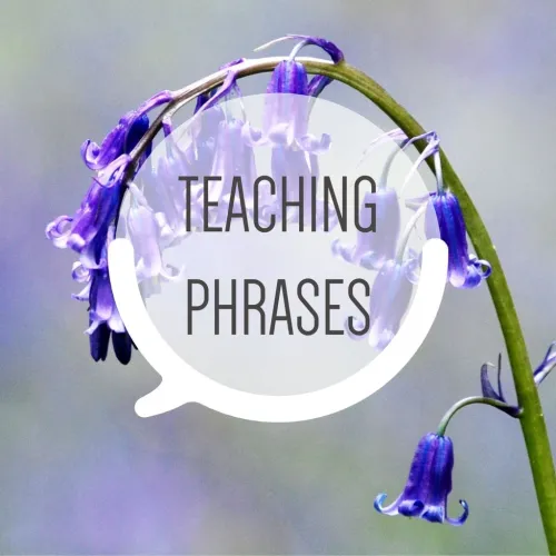 Teaching Phrases