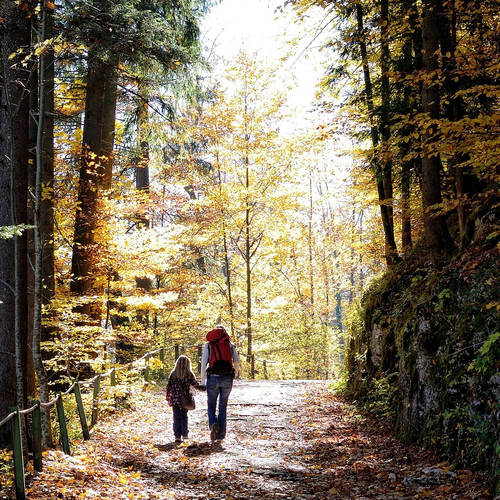 Walking amongst leaves