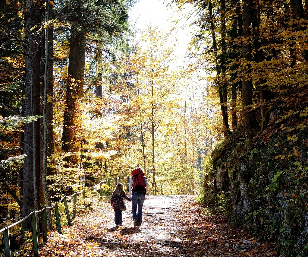 Walking amongst leaves